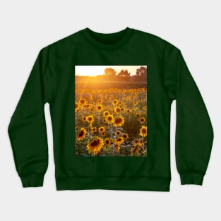 Sunflower field with a setting sun Crewneck Sweatshirt